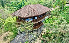 Wanakaset Forest Glamping